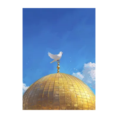 Dome of the Dove - Sukoun Store